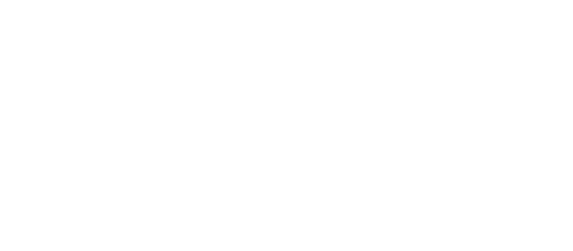 CI/BAA BRUCE